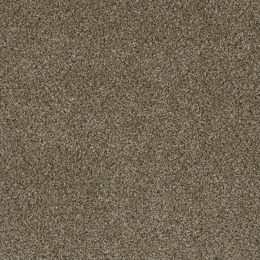 Close-up of Luxor Family Friendly Carpet in Island Spice—a medium brown, textured carpet with uniform, soft fibers for a cozy, family-friendly look. Perfectly woven for comfort and style in any home space.