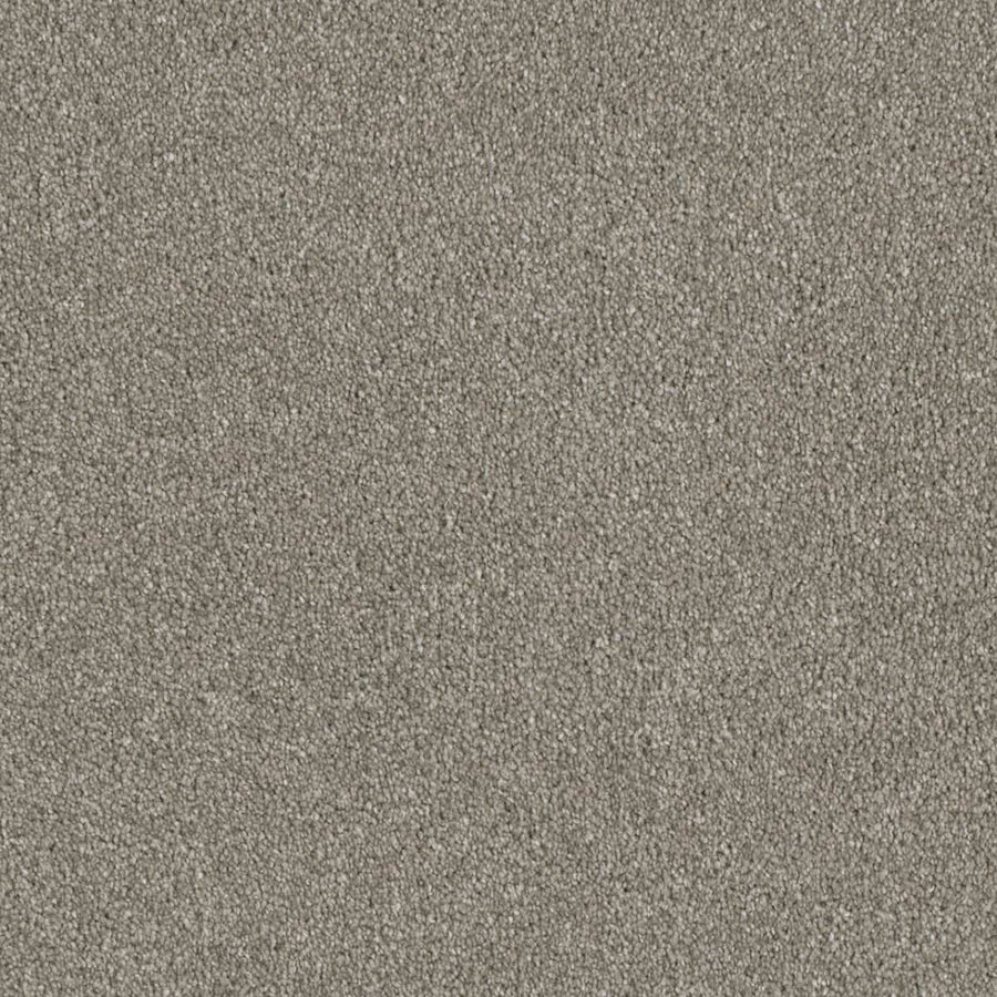 Close-up of Luxor Family Friendly Carpet in Jetstream color, showing its evenly distributed, fine-textured surface with a light gray, granular look that resembles soft sand.