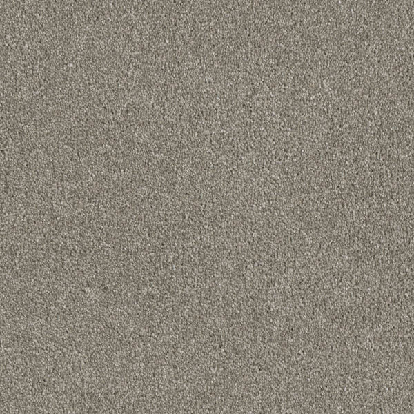 Close-up of Luxor Family Friendly Carpet in Jetstream color, showing its evenly distributed, fine-textured surface with a light gray, granular look that resembles soft sand.