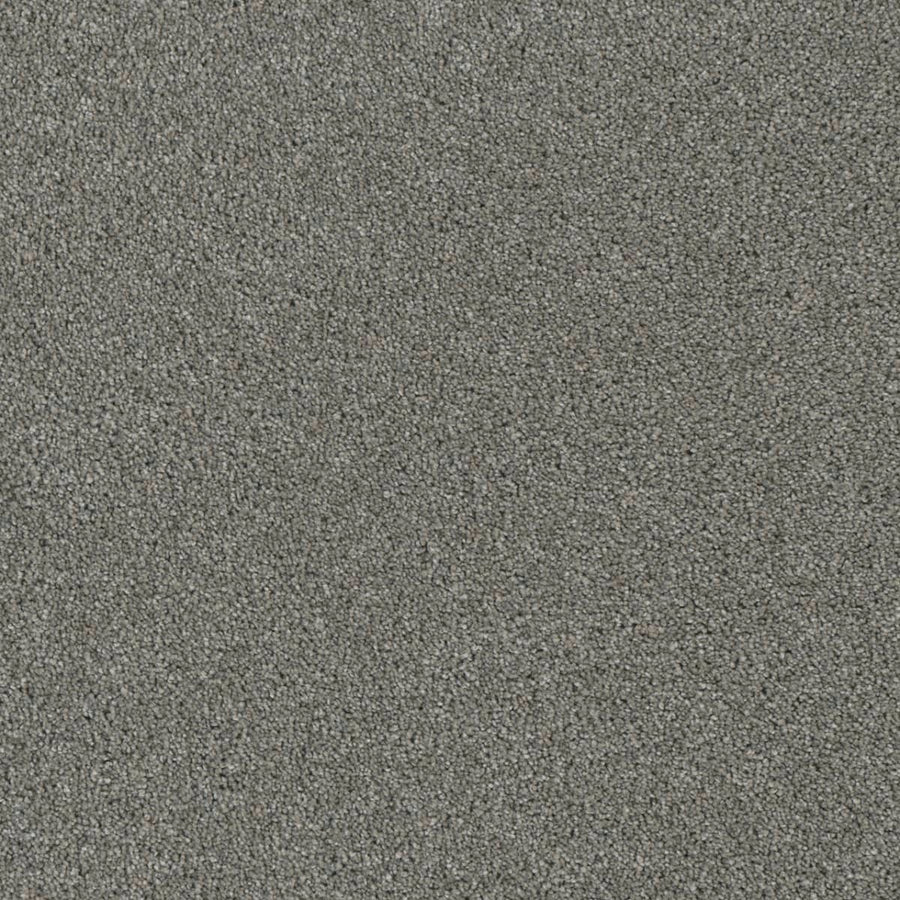 Close-up of the Luxor Family Friendly Carpet in Looking Glass, featuring a dense, even weave and small, tightly packed fibers for an elegant and durable flooring choice.