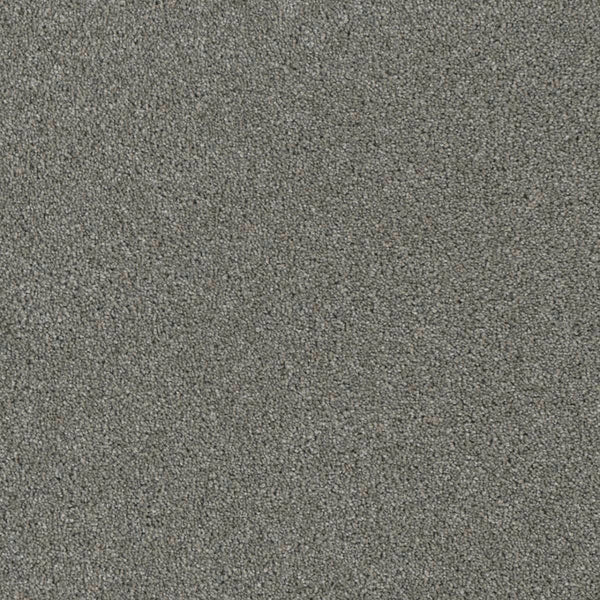 Close-up of the Luxor Family Friendly Carpet in Looking Glass, featuring a dense, even weave and small, tightly packed fibers for an elegant and durable flooring choice.