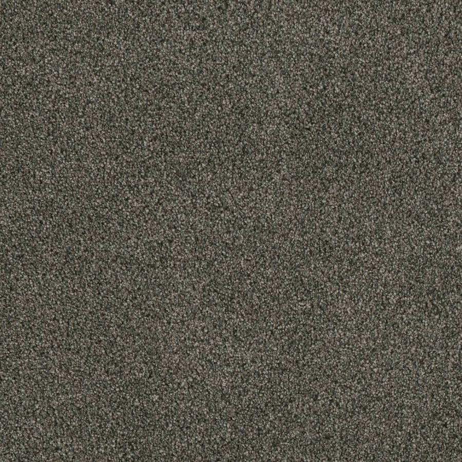 Close-up view of Luxor Family Friendly Carpet in Midnight Shadow, featuring a dense, soft pile and textured, mottled look—ideal for adding comfort to any family space.