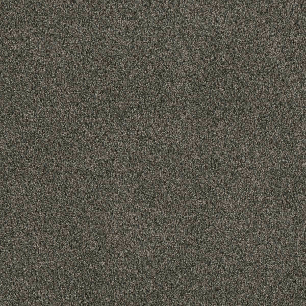 Close-up view of Luxor Family Friendly Carpet in Midnight Shadow, featuring a dense, soft pile and textured, mottled look—ideal for adding comfort to any family space.
