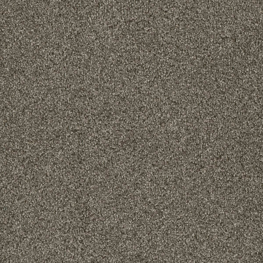 Close-up of the Luxor Family Friendly Carpet in Monaco—features dense, soft texture with a subtle speckled look, ideal for adding comfort and style to any family-friendly space.