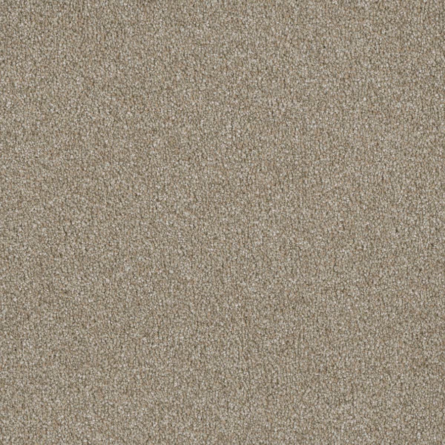 Close-up of Luxor Family Friendly Carpet in Outback, featuring a light brown, textured, and tightly woven surface that offers durable elegance and style suitable for families.