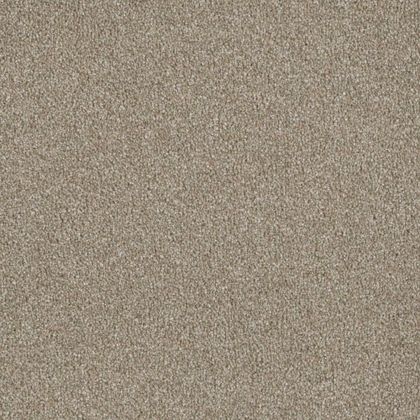 Close-up of Luxor Family Friendly Carpet in Outback, featuring a light brown, textured, and tightly woven surface that offers durable elegance and style suitable for families.