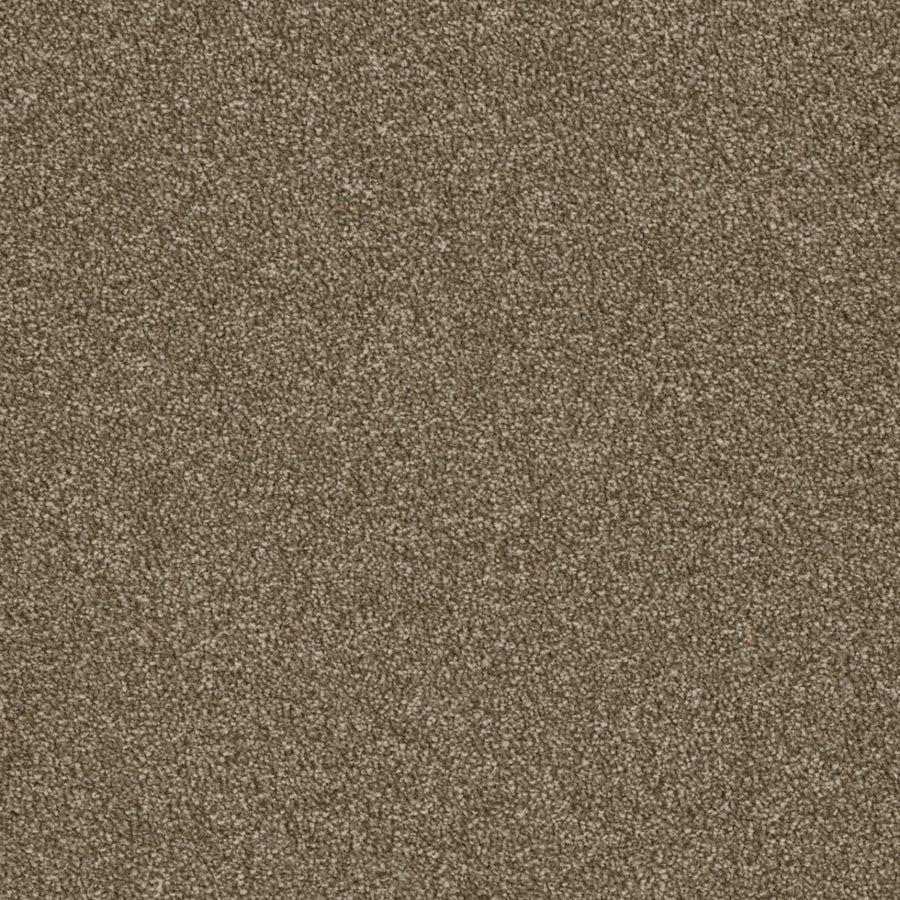 Close-up view of Luxor Family Friendly Carpet in Quail color, featuring densely packed, textured fibers for a soft, uniform look. The brown shade is consistent with subtle variations due to the luxurious texture.