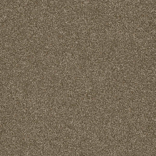 Close-up view of Luxor Family Friendly Carpet in Quail color, featuring densely packed, textured fibers for a soft, uniform look. The brown shade is consistent with subtle variations due to the luxurious texture.
