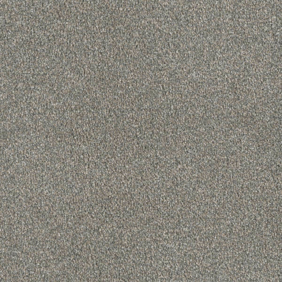 Close-up of the Luxor Family Friendly Carpet in Sandy Trail—a light gray, tightly woven surface with soft texture and subtle speckling for a blend of elegance and durability, ideal for any space.