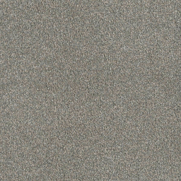 Close-up of the Luxor Family Friendly Carpet in Sandy Trail—a light gray, tightly woven surface with soft texture and subtle speckling for a blend of elegance and durability, ideal for any space.