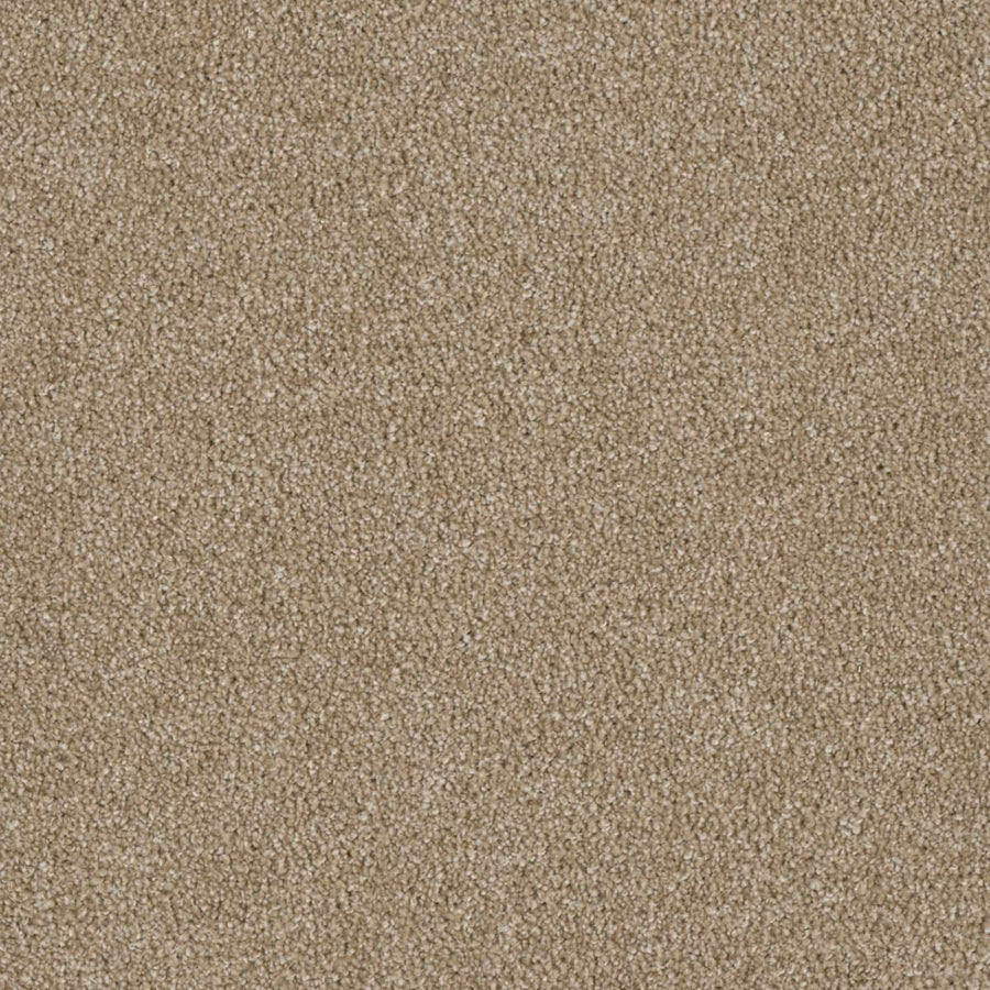 Close-up of the Luxor Family Friendly Carpet in Sawgrass: a dense, textured beige surface with uniform, slightly speckled fibers for a soft, neutral look—perfect for family spaces needing everyday comfort and durability.