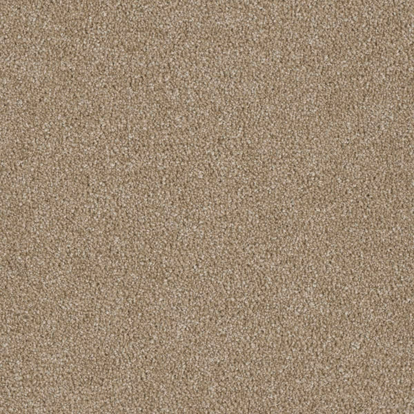 Close-up of the Luxor Family Friendly Carpet in Sawgrass: a dense, textured beige surface with uniform, slightly speckled fibers for a soft, neutral look—perfect for family spaces needing everyday comfort and durability.