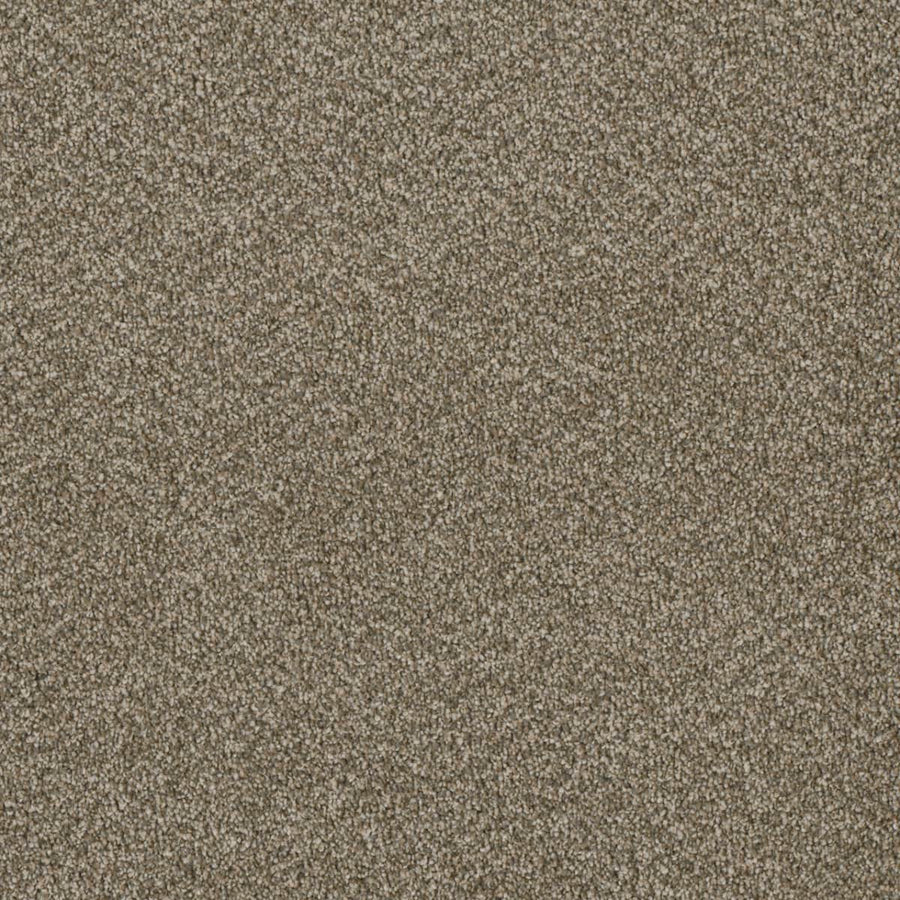 Close-up of the Luxor Family Friendly Carpet in Sienna Sand, featuring a dense, textured surface with a slightly speckled look—combining style and durability for any family space.