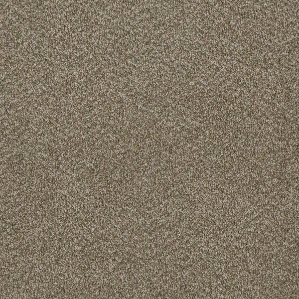 Close-up of the Luxor Family Friendly Carpet in Sienna Sand, featuring a dense, textured surface with a slightly speckled look—combining style and durability for any family space.