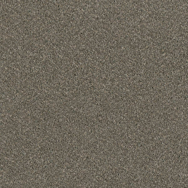 A close-up of Luxor Family Friendly Carpet in Smooth Sailing color shows a finely textured, grayish-brown surface, perfect for creating durable and inviting family spaces.