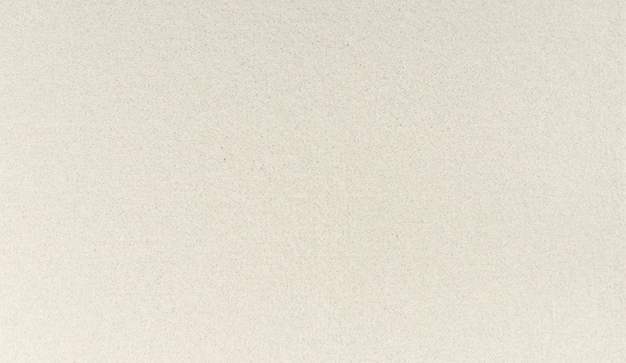A close-up of Luxuriant Touch III Pet Friendly Carpet in Rococo shows a smooth, light beige surface—fine and unpatterned, resembling gentle sand. This carpet is both durable and stain resistant, perfect for homes with pets.
