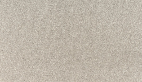 A close-up of Luxuriant Touch III Pet Friendly Carpet in Beachfront, highlighting its light beige, stain resistant surface with short, dense fibers for a soft and even texture.