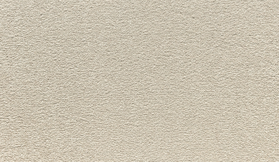 A close-up of Luxuriant Touch III Pet Friendly Carpet in Shorescape, showcasing its beige, textured surface with a durable, grainy finish and unique patterns.