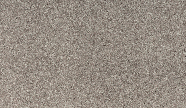 Close-up of Luxuriant Touch III Pet Friendly Carpet in Chalet—a textured, durable surface with fine light brown and beige tones like natural sand—ideal for busy homes seeking a pet friendly carpet option.