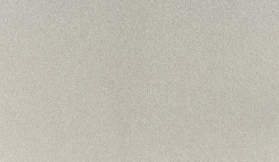 Close-up view of Luxuriant Touch III Pet Friendly Carpet in Wisp color, featuring a smooth, light gray textured surface with a subtle, even pattern and no visible objects or distinguishing features.