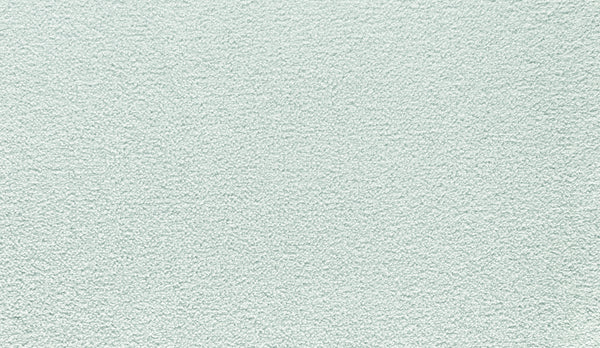 The Luxuriant Touch III Pet Friendly Carpet in Thindercloud features a light gray textured surface, resembling close-up fabric or plaster with a subtle, even rough pattern—perfect for durable and pet-friendly carpet design inspiration.