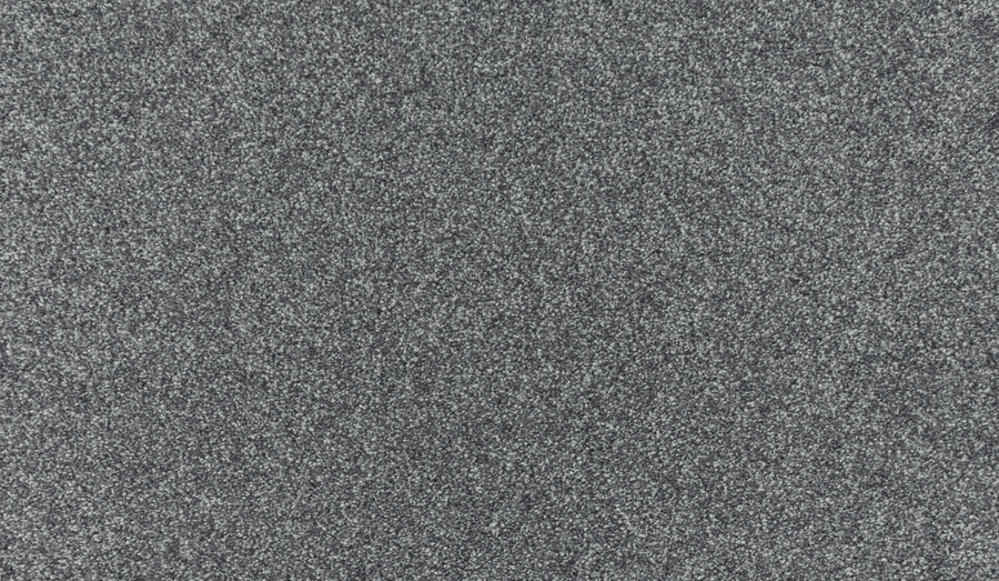 Close-up of Luxuriant Touch III Pet Friendly Carpet in Shilling, showcasing its dark gray, speckled texture and slightly grainy, durable appearance.