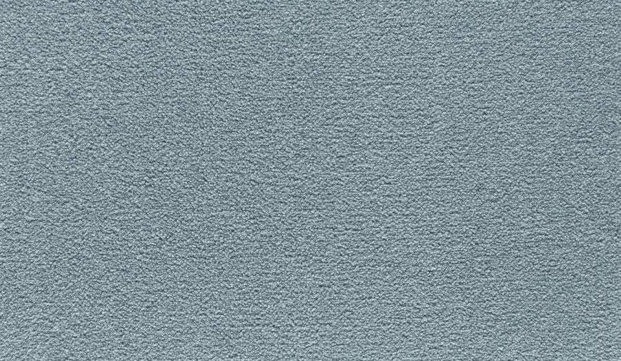 Close-up of Luxuriant Touch II Pet Friendly Carpet in Aurora highlights its soft, fuzzy fibers and even texture—ideal for a pet-friendly home.