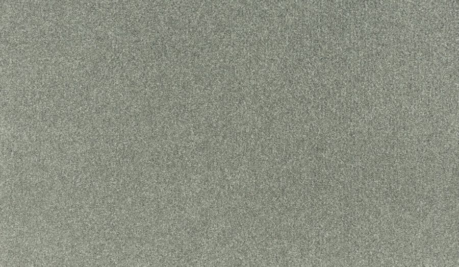 Close-up view of Luxuriant Touch II Pet Friendly Carpet in Arcus—a light grey, textured, stain-resistant surface with soft and slightly speckled appearance—ideal for stylish, practical homes.