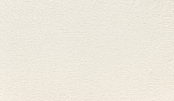 A close-up view of Luxuriant Touch II Pet Friendly Carpet in White, featuring a textured surface with subtle grain reminiscent of stucco or plaster.