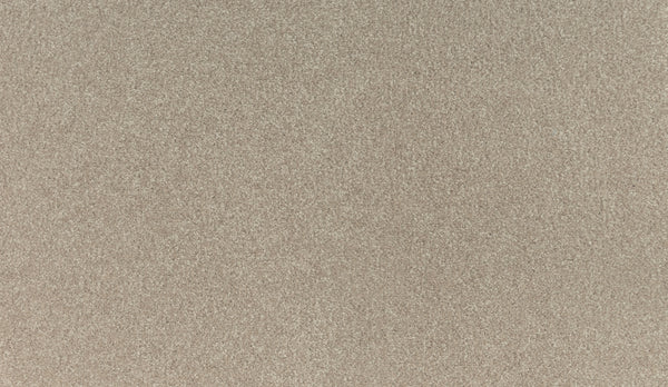 Close-up of Luxuriant Touch II Pet Friendly Carpet in Haven: fine, light brown fibers with a smooth, even texture—grains packed closely for an elegant, refined look reminiscent of luxury sand.