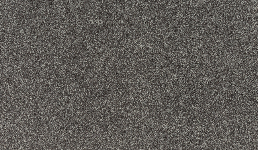 Close-up of Luxuriant Touch II Pet Friendly Carpet in Lite color, showing a textured surface with light and dark gray fibers for a stylish, speckled look.