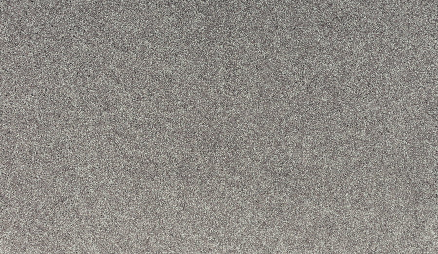 Close-up of the Luxuriant Touch II Pet Friendly Carpet in Thin color, featuring a consistent, gray, grainy texture—resembling fine sandpaper or concrete—crafted for durability and visual appeal.