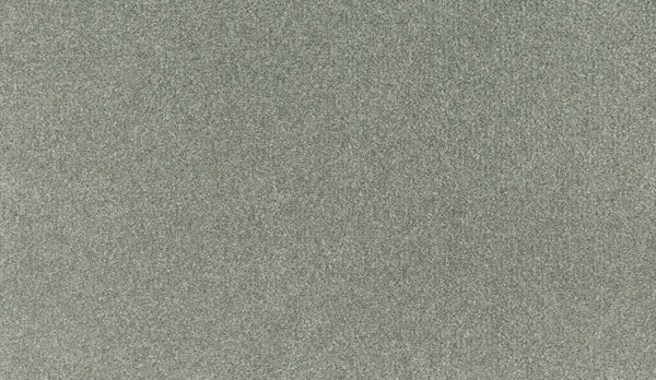 Close-up view of Luxuriant Touch I Pet Friendly Carpet in Arcus color—showing its soft, dense pile and even texture. This premium flooring offers pet-friendly durability and stain resistance.