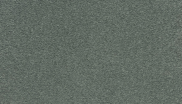 Close-up of Luxuriant Touch I Pet Friendly Carpet in Gleam shows tightly woven fibers and a soft, even texture—an ideal, premium flooring choice for pet owners and busy households.