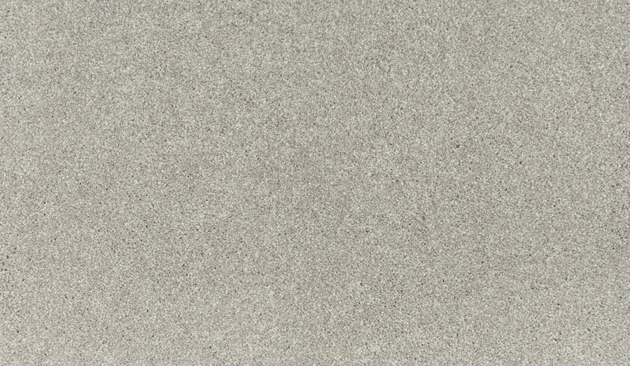A close-up of Luxuriant Touch I Pet Friendly Carpet in Quiet, showing its textured gray surface with fine, evenly distributed grains and a softly textured, premium appearance.