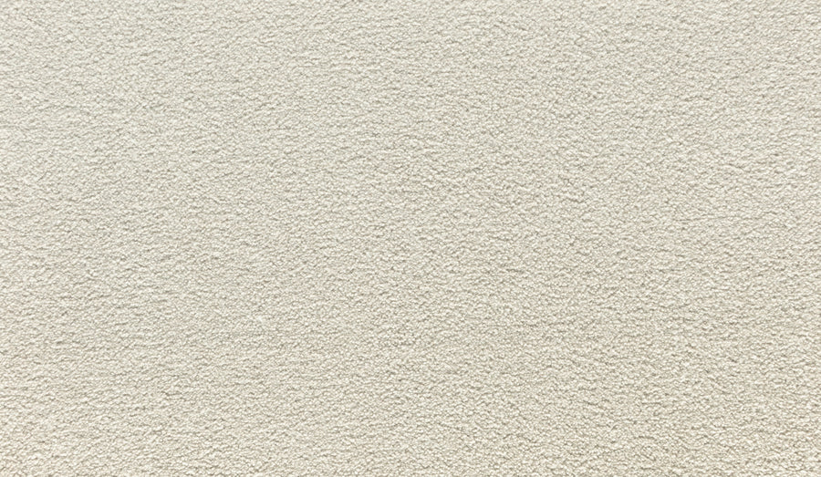 Close-up of Luxuriant Touch I Pet Friendly Carpet in Buffed, featuring a light beige hue and soft, uniform looped pile—an ideal premium flooring option for those seeking pet-friendly durability and comfort.