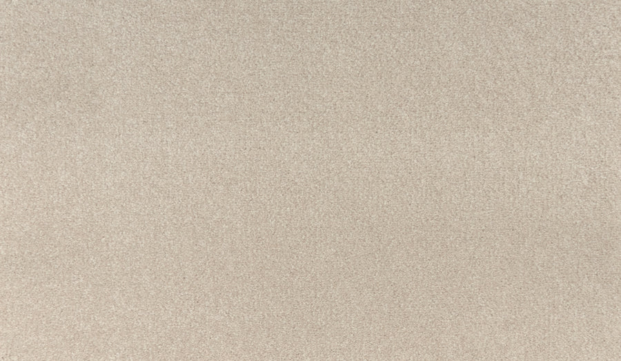 A close-up of Luxuriant Touch I Pet Friendly Carpet in Scroll color shows its soft, uniform texture; this premium flooring is stain resistant and ideal for homes with pets.
