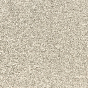 Close-up of Luxuriant Touch I Pet Friendly Carpet in Shorescape—a textured, grainy beige surface that evokes rough plaster, offering stylish, stain-resistant flooring ideal for homes with pets.