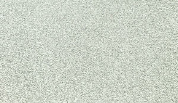 Urban-colored Luxuriant Touch I Pet Friendly Carpet features a light grey textured surface with a slightly rough, uneven pattern—perfect for modern spaces that desire a sophisticated, contemporary look.