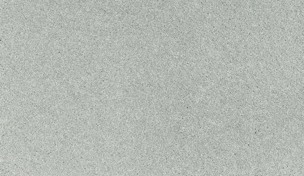Close-up of the Luxuriant Touch I Pet Friendly Carpet in Flute color shows a flat, smooth grey surface with fine, consistent texture—ideal as a stain-resistant and pet-friendly premium flooring option.
