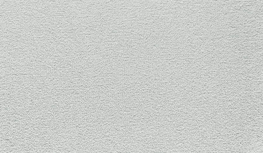 Close-up of Luxuriant Touch I Pet Friendly Carpet in Thundercloud—a light gray, textured, stain-resistant surface with a subtle, uniform pattern, ideal for premium flooring in any space.