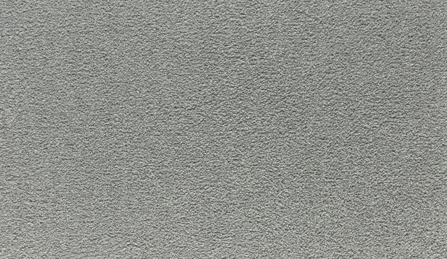 Close-up of Luxuriant Touch I Pet Friendly Carpet in Destiny, displaying its textured gray surface with tightly woven fibers—an ideal choice for premium, stain-resistant, and pet-friendly flooring.