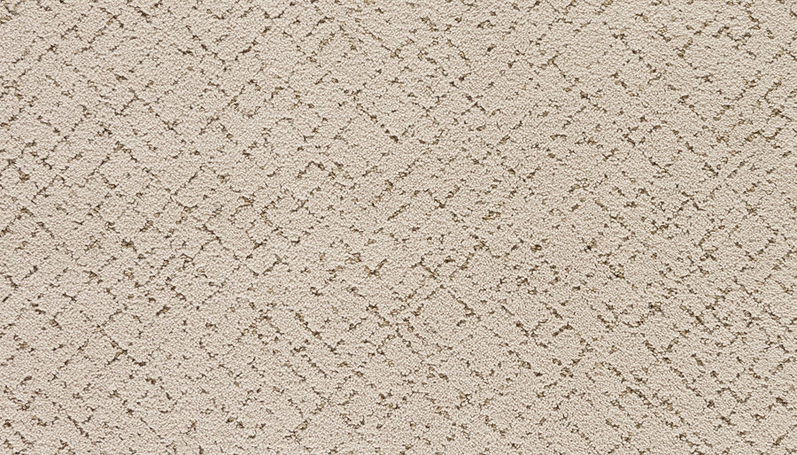 Close-up of Luxuriant Weave Pet Friendly Carpet in Outer Banks color, showcasing a soft, luxurious texture and a subtle raised geometric pattern for a modern look. Ideal for homes with pets.