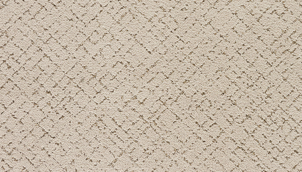 Close-up of Luxuriant Weave Pet Friendly Carpet in Outer Banks color, showcasing a soft, luxurious texture and a subtle raised geometric pattern for a modern look. Ideal for homes with pets.