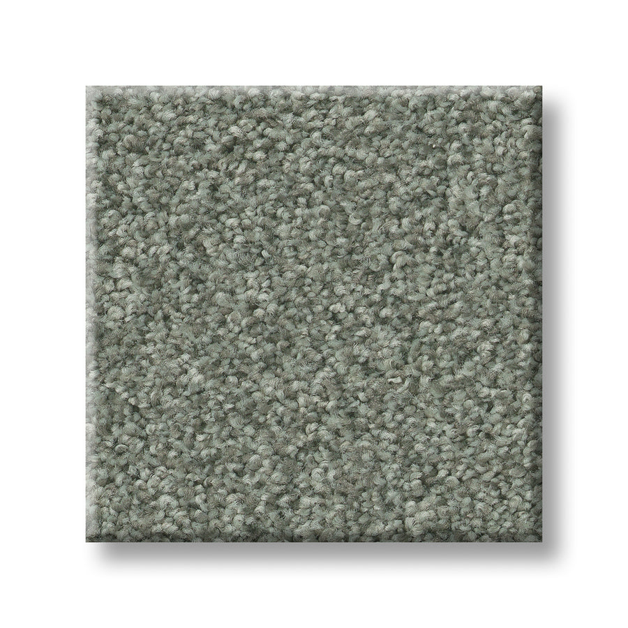 A close-up of a plush, textured Tonal Comfort Blue Family Friendly Carpet sample in soft muted gray, shown against a white background.