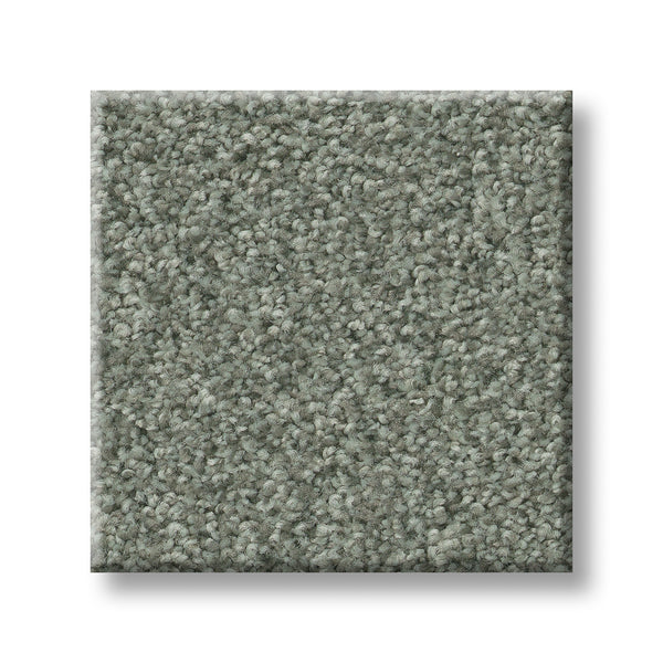 A close-up of a plush, textured Tonal Comfort Blue Family Friendly Carpet sample in soft muted gray, shown against a white background.