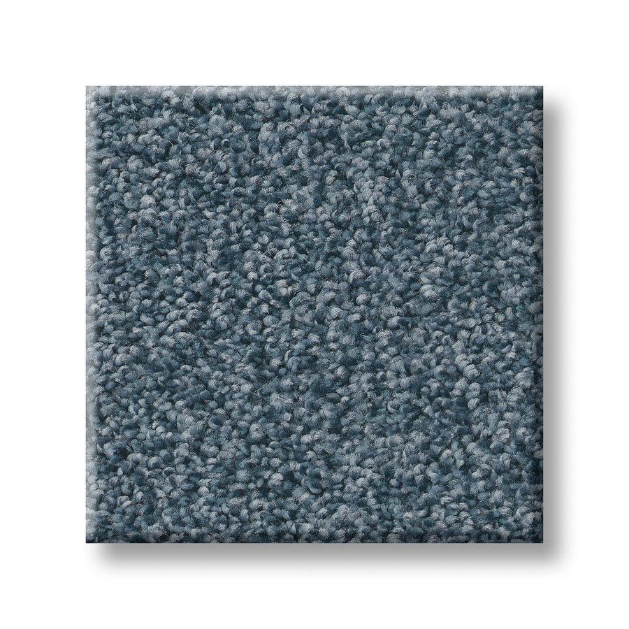 Tonal Comfort Blue Family Friendly Carpet