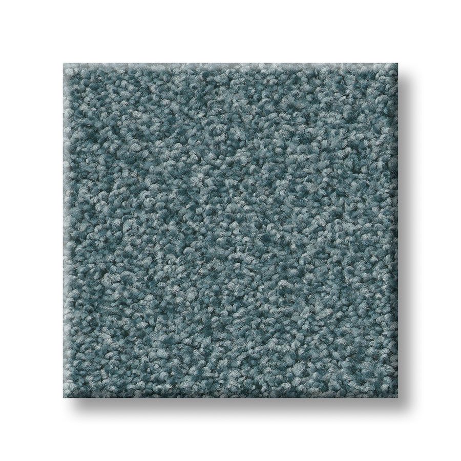 Tonal Comfort Blue Family Friendly Carpet