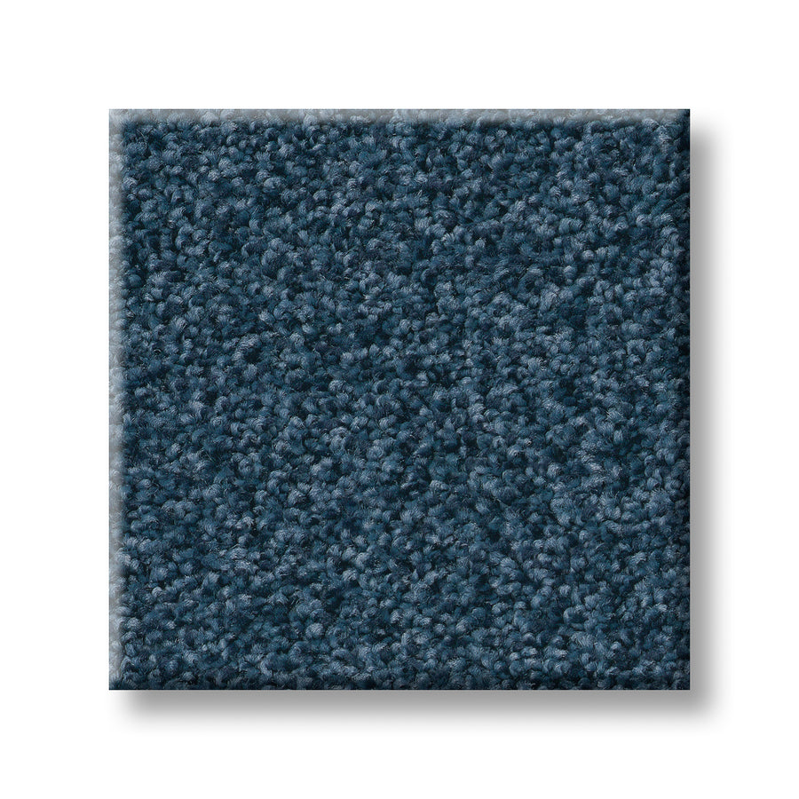 Tonal Comfort Blue Family Friendly Carpet