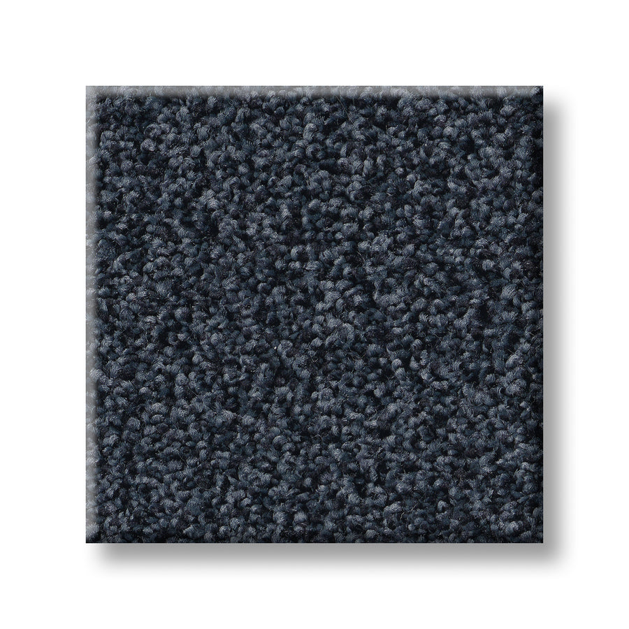 Tonal Comfort Blue Family Friendly Carpet